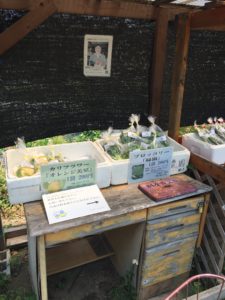 Farmers market in Japan