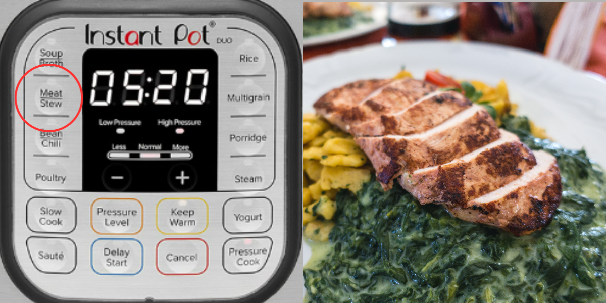Instant Pot Settings All Buttons Explained